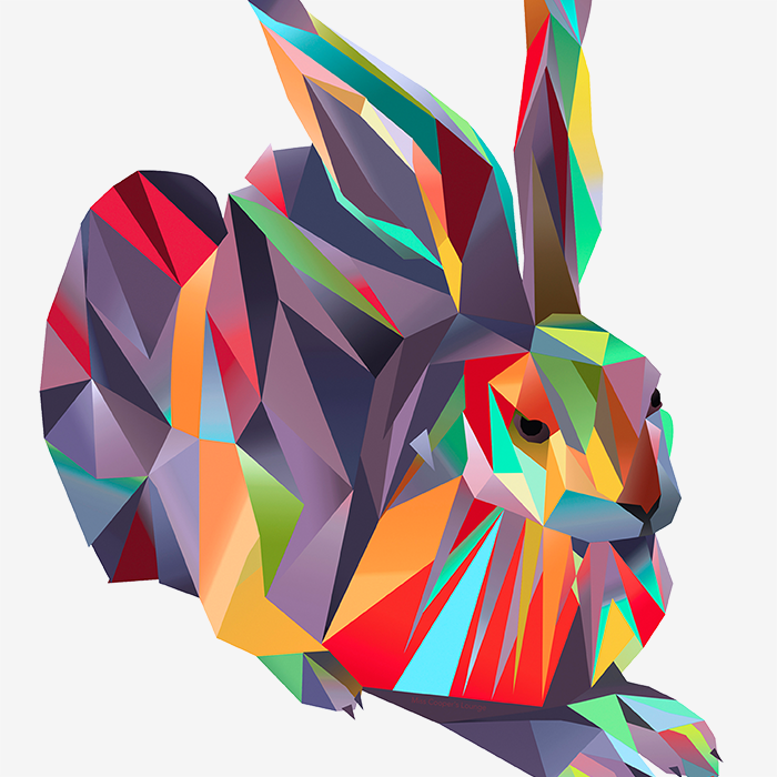Hans Hase